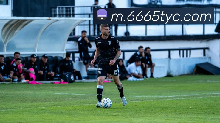 AI Risk Control